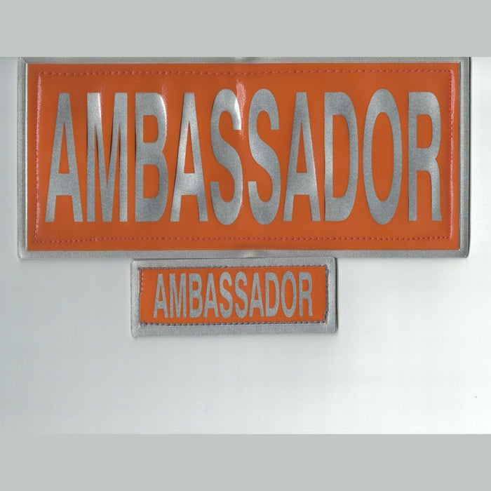 Ambassador Encapsulated Reflective Badge Set Hook and Loop