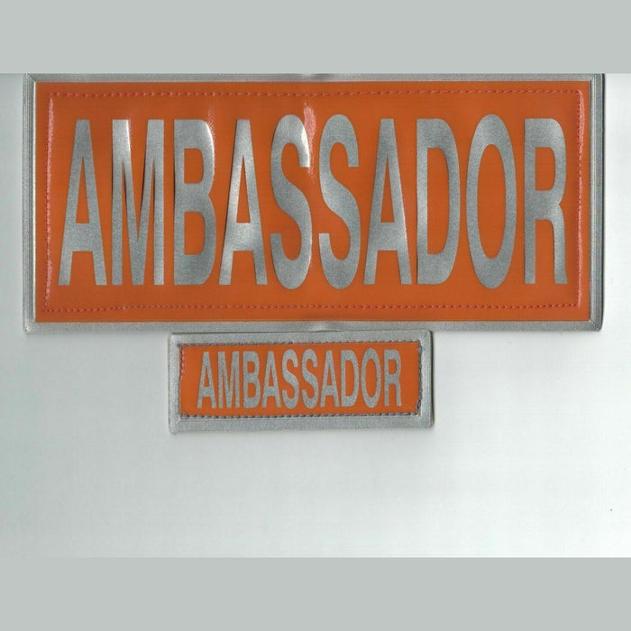 Ambassador Encapsulated Reflective Badge Set Hook and Loop